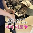 미로달 | 베이비하우스 6월 PICK 휴대용 유모차 <미마 미로> 스펙 후기 리뷰