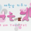 펫시즌 이미지