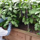 만복2차경로당 이미지