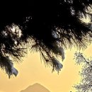 자연-이미지 이미지