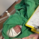 참조은산부인과(복합) | 진주 참조은산부인과 / 제왕절개 후기