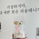 오늘도캔들 이미지