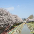 숲내음마트