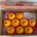 상보농장 이미지