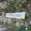 보령시] 고운 모래가 넓게 펼쳐져 있는 &#39;원산도(소록도) 해수욕장(보령(태안)의 캠핑장(차박) 명소)&#39;
