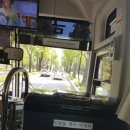 신강혁 행정사 사무소 네이버블로그