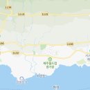 서귀포새마을금고회수지점 이미지