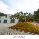 대가야역사테마관광지 이미지