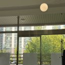 템퍼러리 이미지