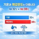 물이랑 산업 | 체감온도계 추천, 산업안전보건법 현장 사무실 폭염 대비 후기