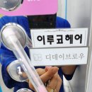 디데이브로우 이미지