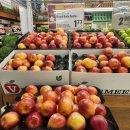 팜 마트 | 캐나다판 트레이더조 토론토 마트 팜보이(Farm Boy) 솔직 후기