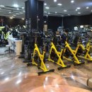 팀바디매스 이미지