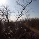 화순우체국 이미지