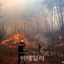 (주)대원농산 이미지