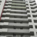 산호동311 이미지