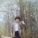 일신탕 Daum카페