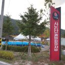 백천3동 | 봉화 산타마을캠핑장에서 가을 즐김! 사이트리뷰 포함