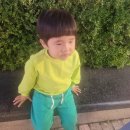 황남옥수수청주점 이미지