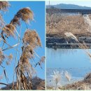 영강파크골프장 이미지