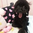 뭉개뭉개 이미지