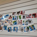 주인아 까까사줘 이미지