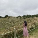 우정원