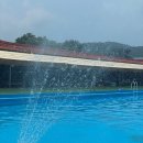 올림피아 수영장 이미지