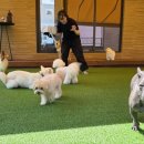 바우라움 메인캠퍼스 이미지