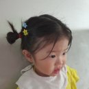 알콩달콩어린이집 이미지