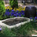 새시대이용원 이미지