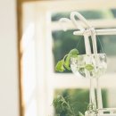 장수의과 이미지