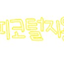 수정모피 Daum카페