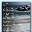 겨울 바다 - 김남조 이미지