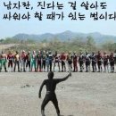 채감 이미지
