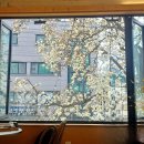 세븐일레븐 오남로드점 | 카페 모음 (읍천리382, 후탄, 빈스로드)
