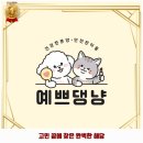 광남1동-24 | 둔촌제1동 애견카페 예쁘댕냥 운영시간 및 방문 정보와 가격까지 한번에 알아봐요