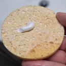 클리어코스메틱 | 올리브영추천템 클렌징폼 메디필레드락토콜라겐클리어폼클렌저 후기