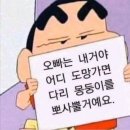 비쥬아 | [쥬아]아이폰 스냅 본식 후기(내돈내산 찐 후기)