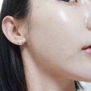 프로즌루틴 네이버블로그