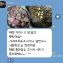 자연산 참돔 홍가리비 통영 생굴 이미지