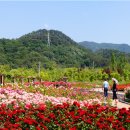 부산시 푸른도시가꾸기사업소, 해운대수목원 장미원·허브길 정비 완료 이미지