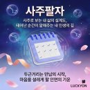 플랜비애드 | AI 명리학으로 알아보는 인생 흐름 럭키온 사주팔자 후기