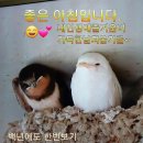 숑