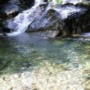 곰사냥을떠나자펜션 이미지