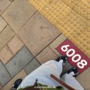 6008 | 동탄역 신혼집에서 서울 서초 출퇴근 현실 - 광역버스 편 -