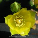 해송농장 이미지