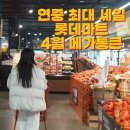 큰통치킨(모현점) | 롯데마트 4월 메가통큰 세일! 대형마트 할인 행사기간 한우, 달걀 득템하고 온 방문후기