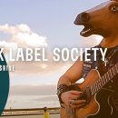 Black Label Society - Ain't No Sunshine (Unblackened) 이미지