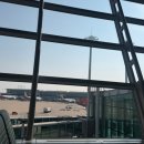 소호세탁소 | 홍콩 1일차 일정 - 인천공항, AEL탑승, 홍콩y호텔, 미드레벨, 덩라우벽화, 소호벽화거리, 대관람차